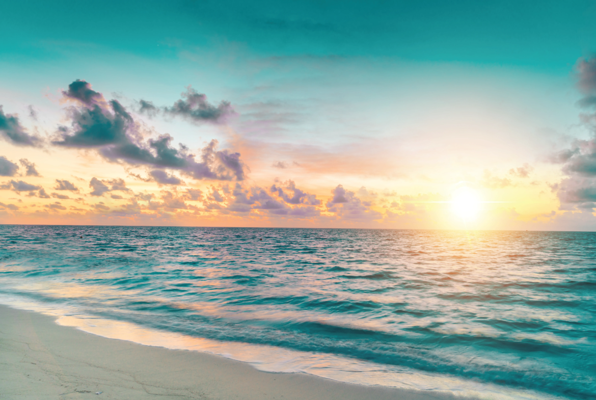 Dmaxx floarea breeze by mashreq elite