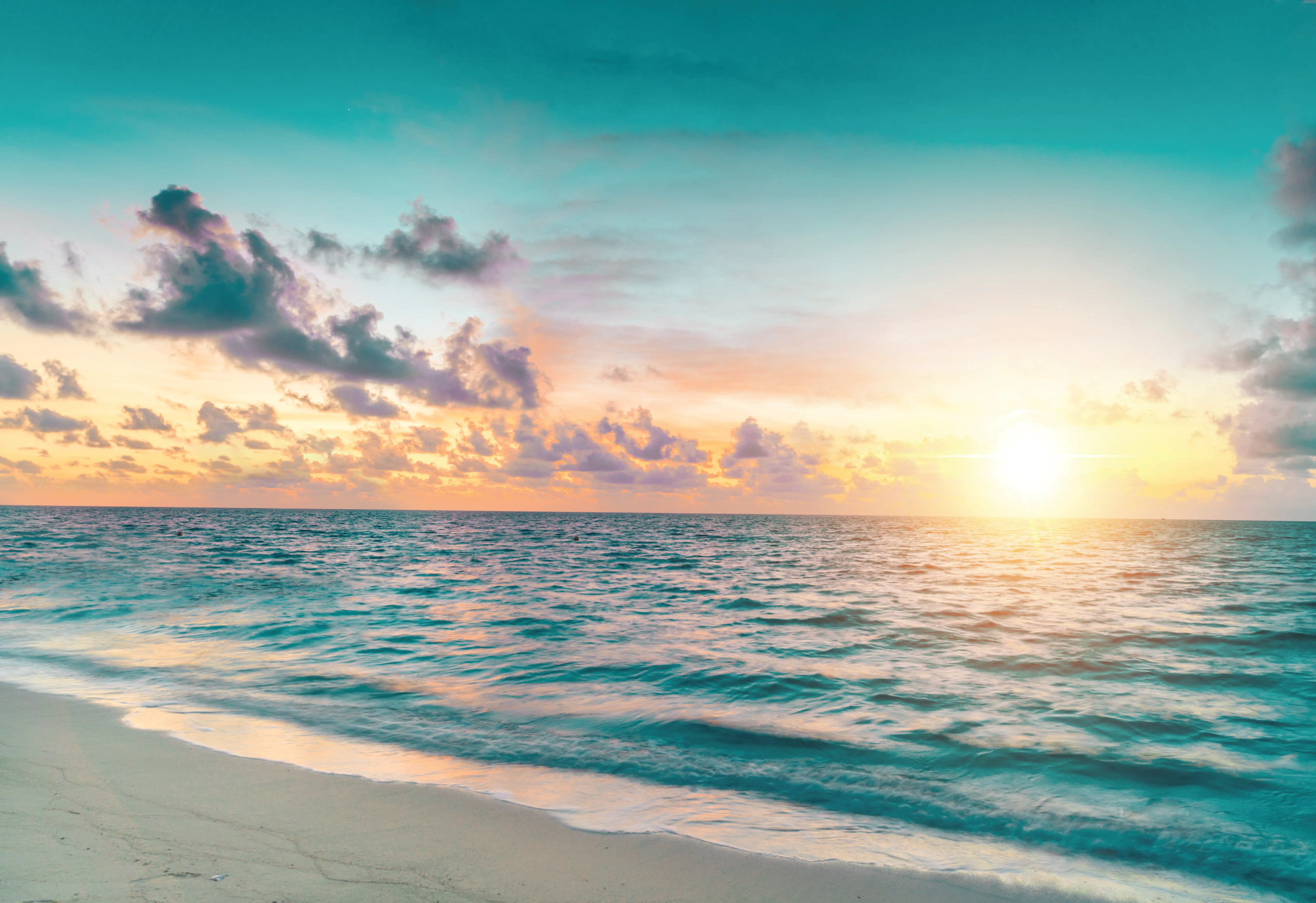 Dmaxx floarea breeze by mashreq elite