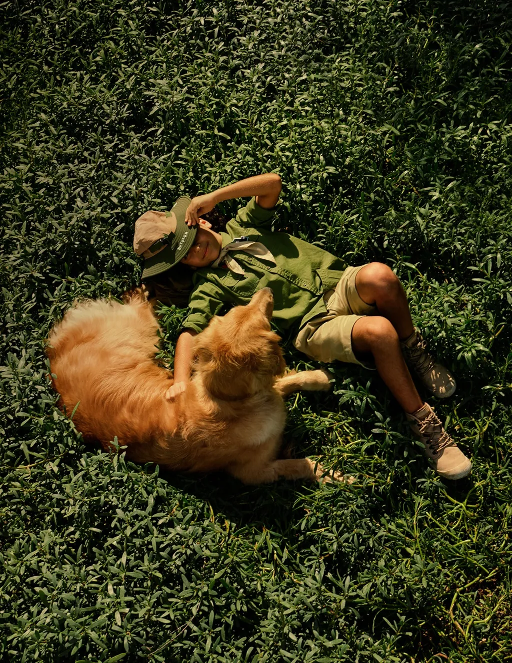 The-wilds-residences-aldar-dmaxx